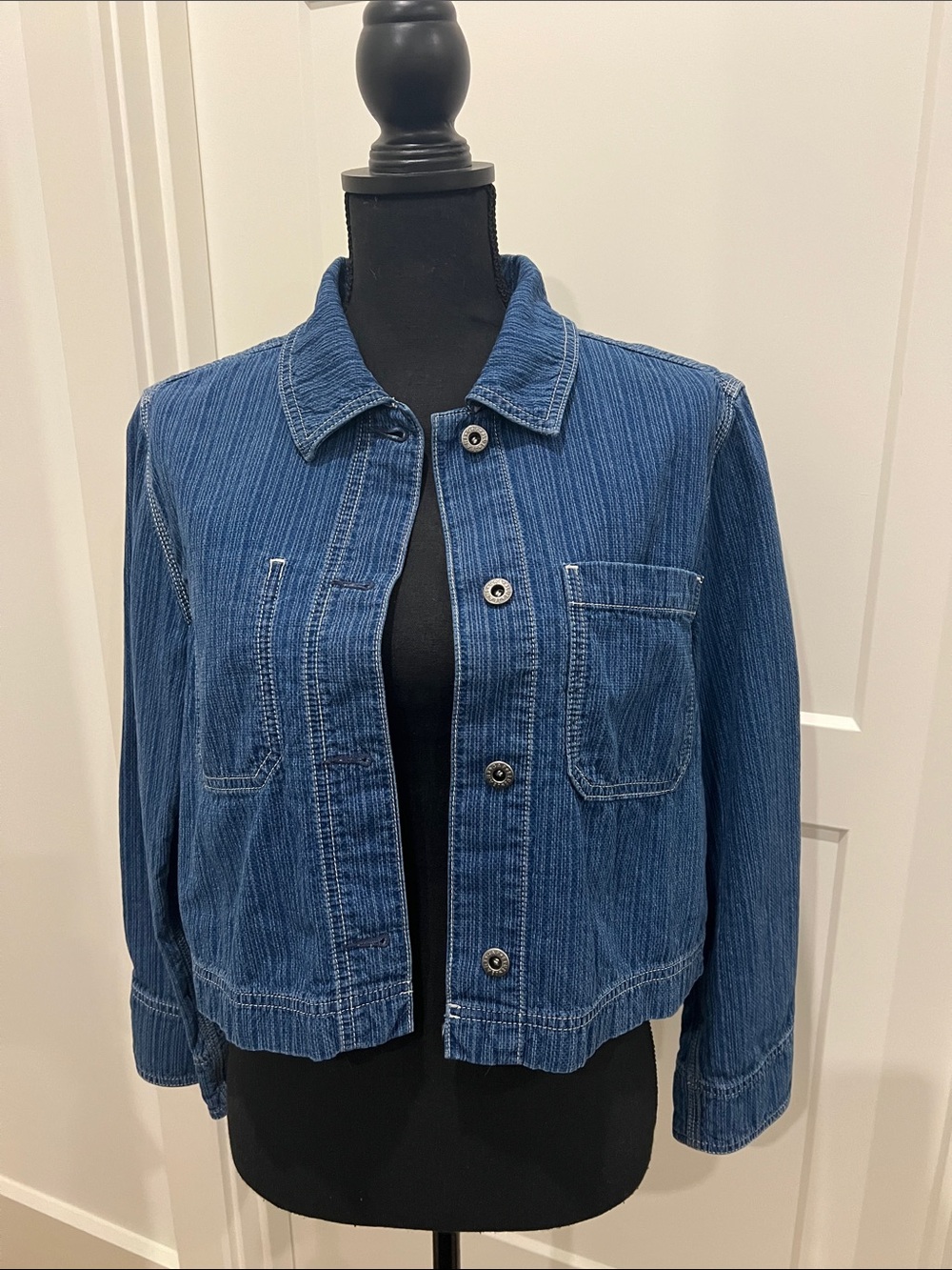 Gap 1969 Classic Blue Denim Jacket - Women